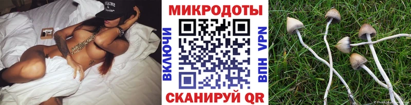 купить  цена  Глазов  Псилоцибиновые грибы ЛСД 